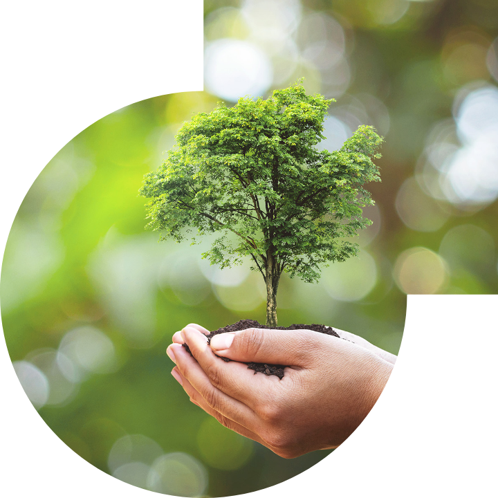 關懷人類、文化、環境與社會